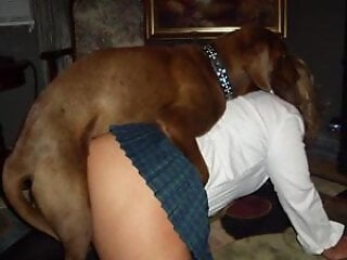 XXX bestiality zoo porn
