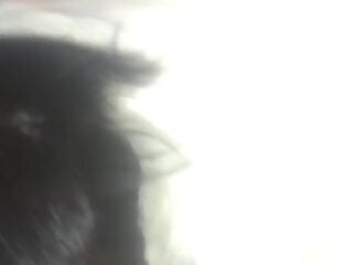 Savage fucking with a dog that loves hairy cocks